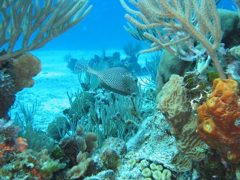 El Pisito La Dolce Vita Puerto del Carmen  Esterno foto